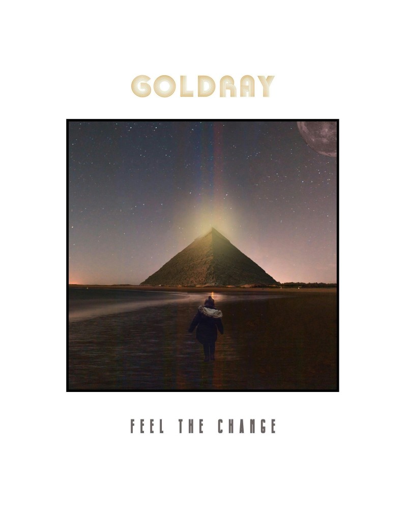 Goldray Feel The Change' Vinyl Record $10.25 Vinyl