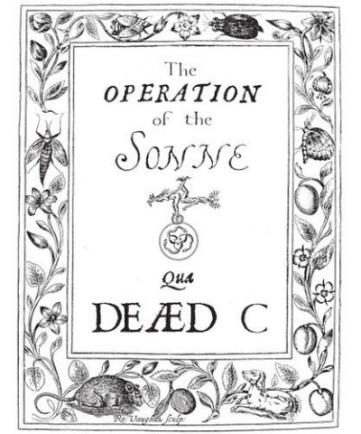 The Dead C OPERATION OF THE SONNE Vinyl Record $11.44 Vinyl