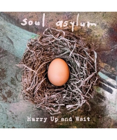 Soul Asylum Hurry Up and Wait Vinyl Record $11.34 Vinyl