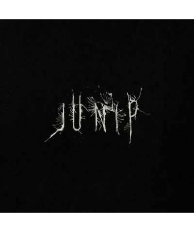 Junip Vinyl Record $15.75 Vinyl