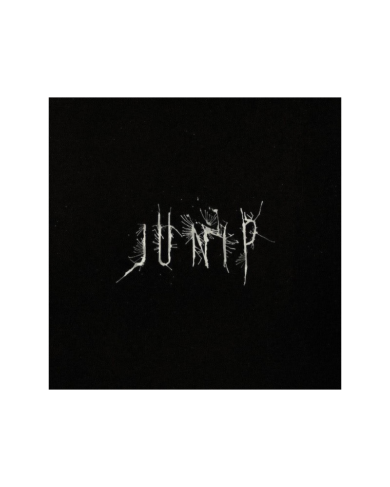 Junip Vinyl Record $15.75 Vinyl