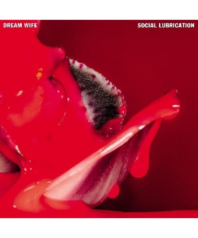 Dream Wife Social Lubrication CD $7.25 CD